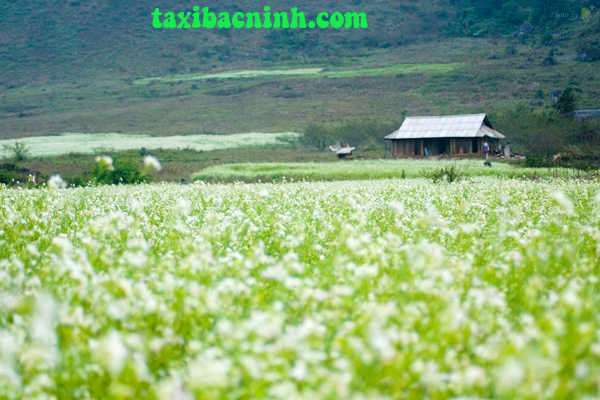 Taxi gia đình bắc ninh , Du lịch tuyệt vời hơn bao giờ hết